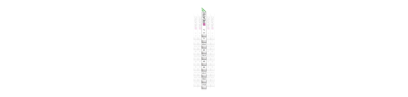 reaStripe 10