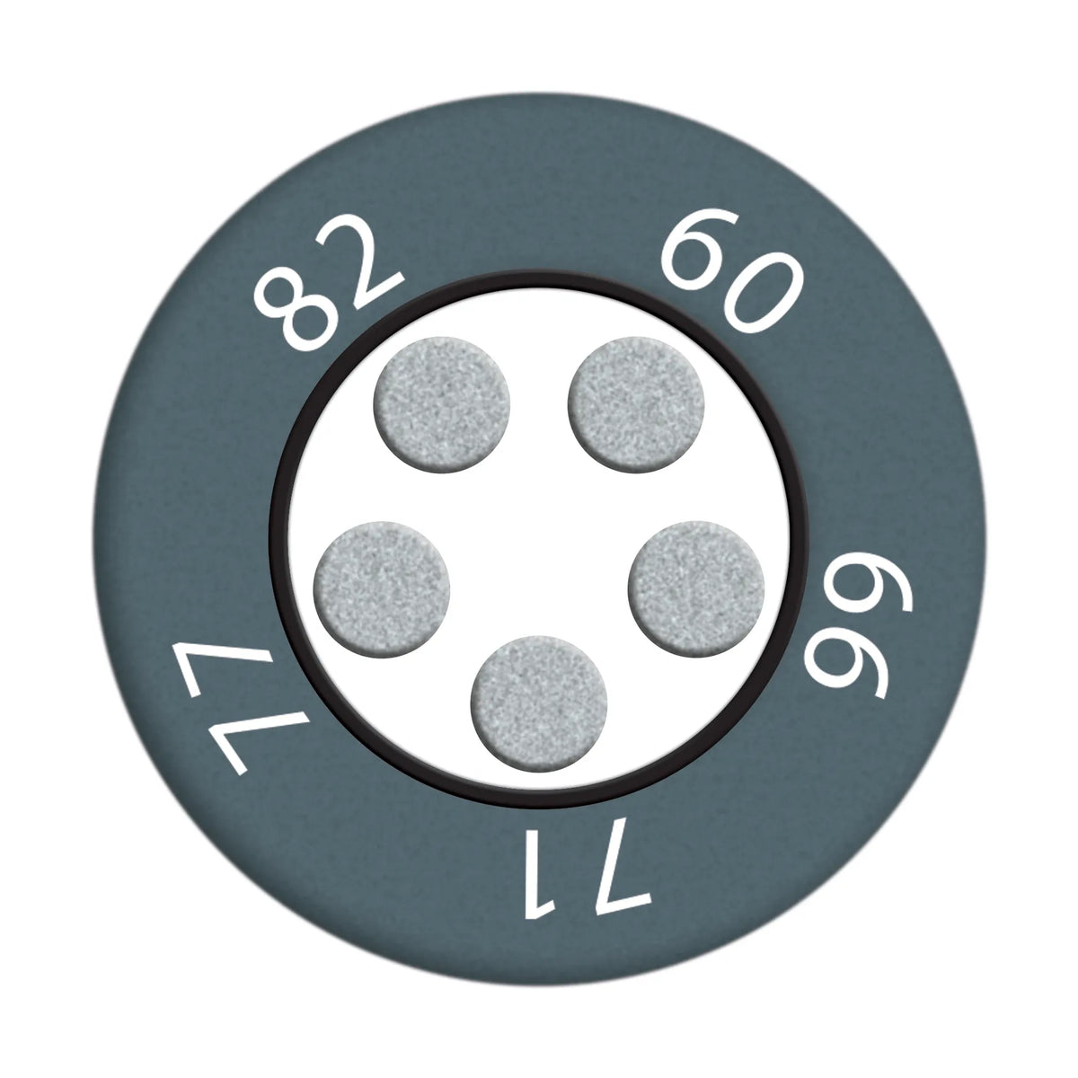 reaPoint 5 standard compact multi-point temperature indicator 60 - 82 °C