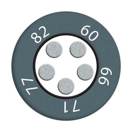 reaPoint 5 standard compact multi-point temperature indicator 60 - 82 °C