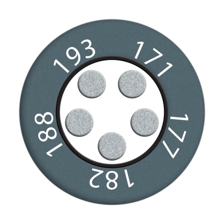 reaPoint 5 standard compact multi-point temperature indicator 171 - 193 °C